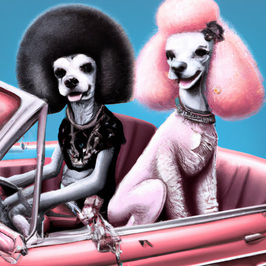 Punker Poodles #68